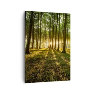 Obraz na płótnie - Las o poranku z promieniami słońca - 50x70cm - Fotografia wszystkich wiosen - Nowoczesna dekoracja ścienna do salonu, kuchni i sypialni ARTTOR
