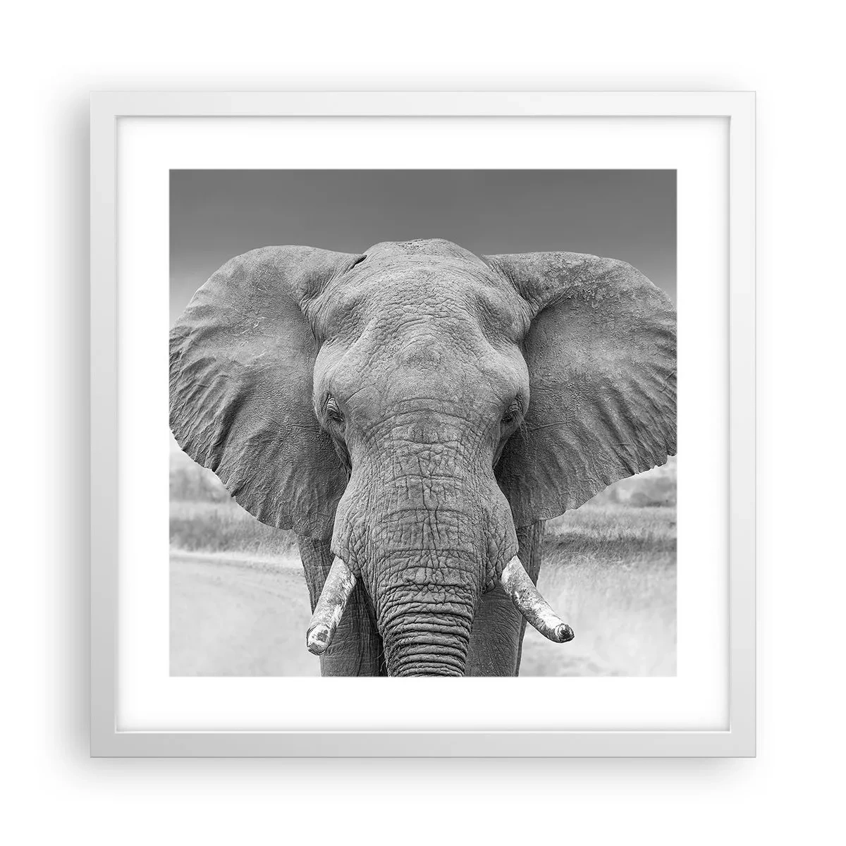 Plakat w białej ramie - Witaj w moim świecie - 40x40 cm