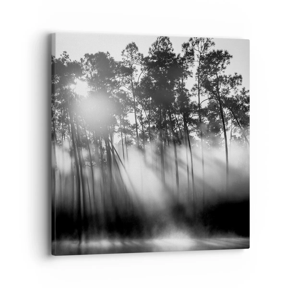 Obraz na płótnie - Niepowstrzymane słońce - 40x40 cm