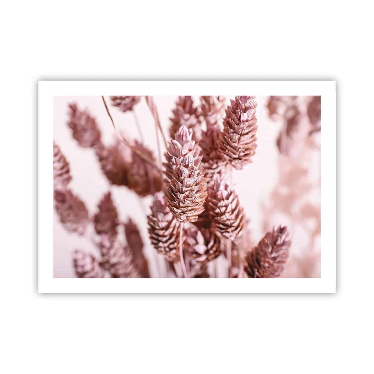 Plakat - Z pozoru niepozorne - 70x50 cm