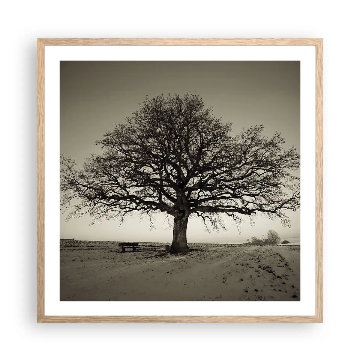 Plakat w ramie jasny dąb - Stąd do wieczności - 60x60 cm