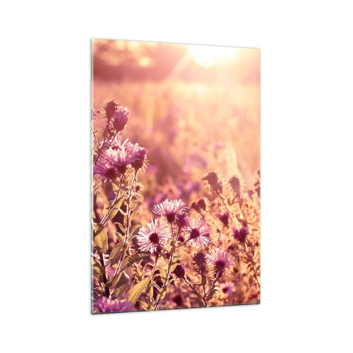 Obraz na szkle - Łąka w świetle zachodzącego słońca - 70x100cm - Przed odejściem lata - Nowoczesna dekoracja ścienna do salonu i sypialni ARTTOR