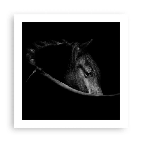 Plakat - Czarny książę - 50x50 cm