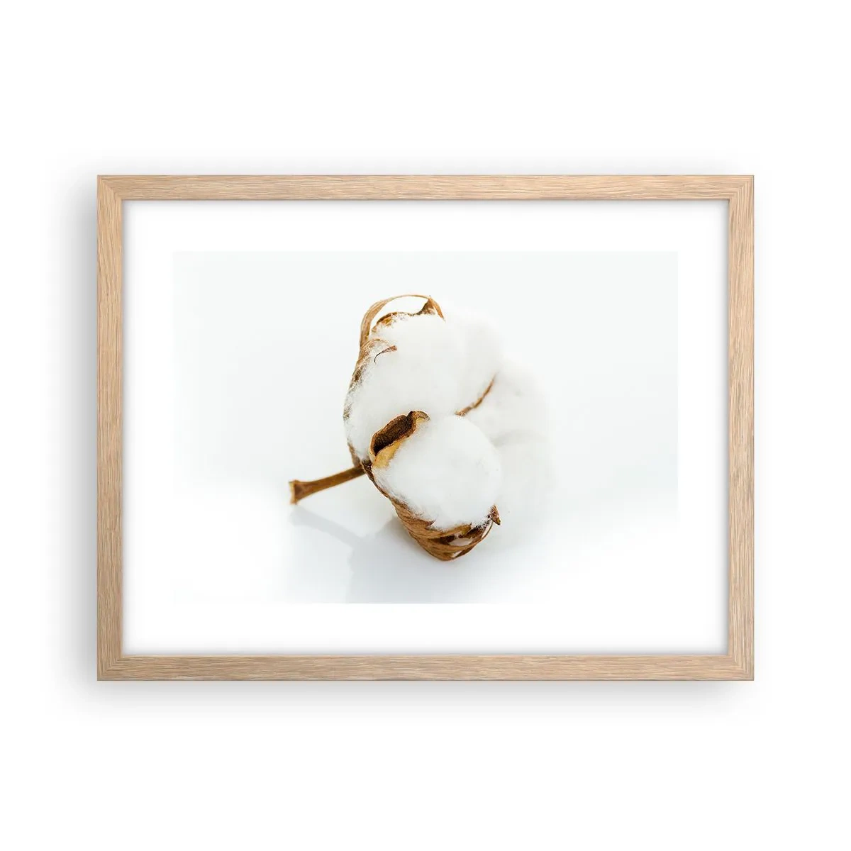 Plakat w ramie jasny dąb - Miękka z natury - 40x30 cm