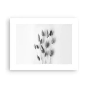 Plakat - Jej puszystość trawa - 40x30 cm