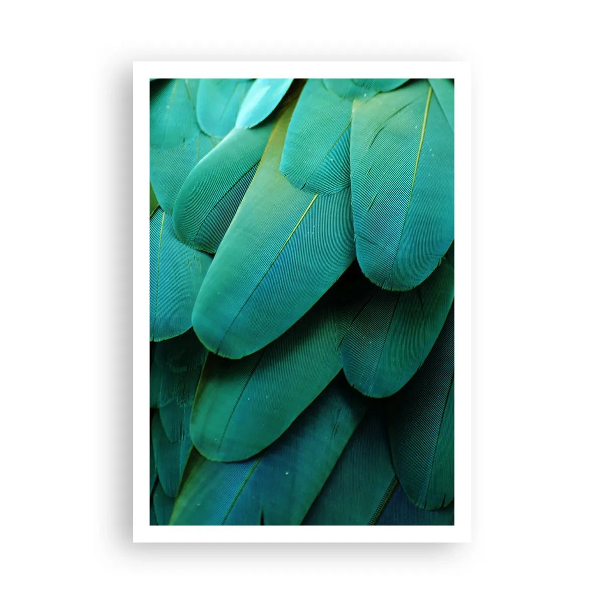Plakat - Precyzja papuziej natury - 70x100 cm
