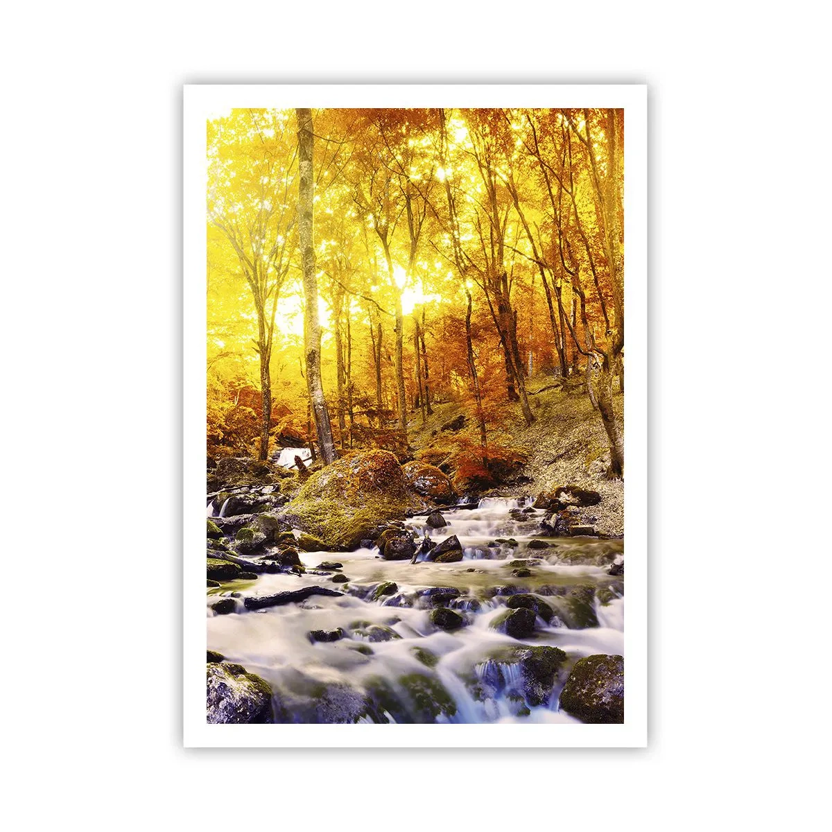 Plakat - Kamienie oprawne w złoto i platynę - 70x100 cm