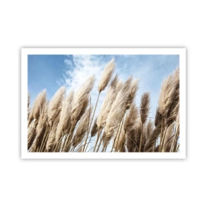 Plakat - Słoneczna i wietrzna pieszczota - 91x61 cm