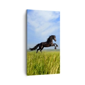 Obraz na płótnie - Porywający manifest wolności - 45x80 cm