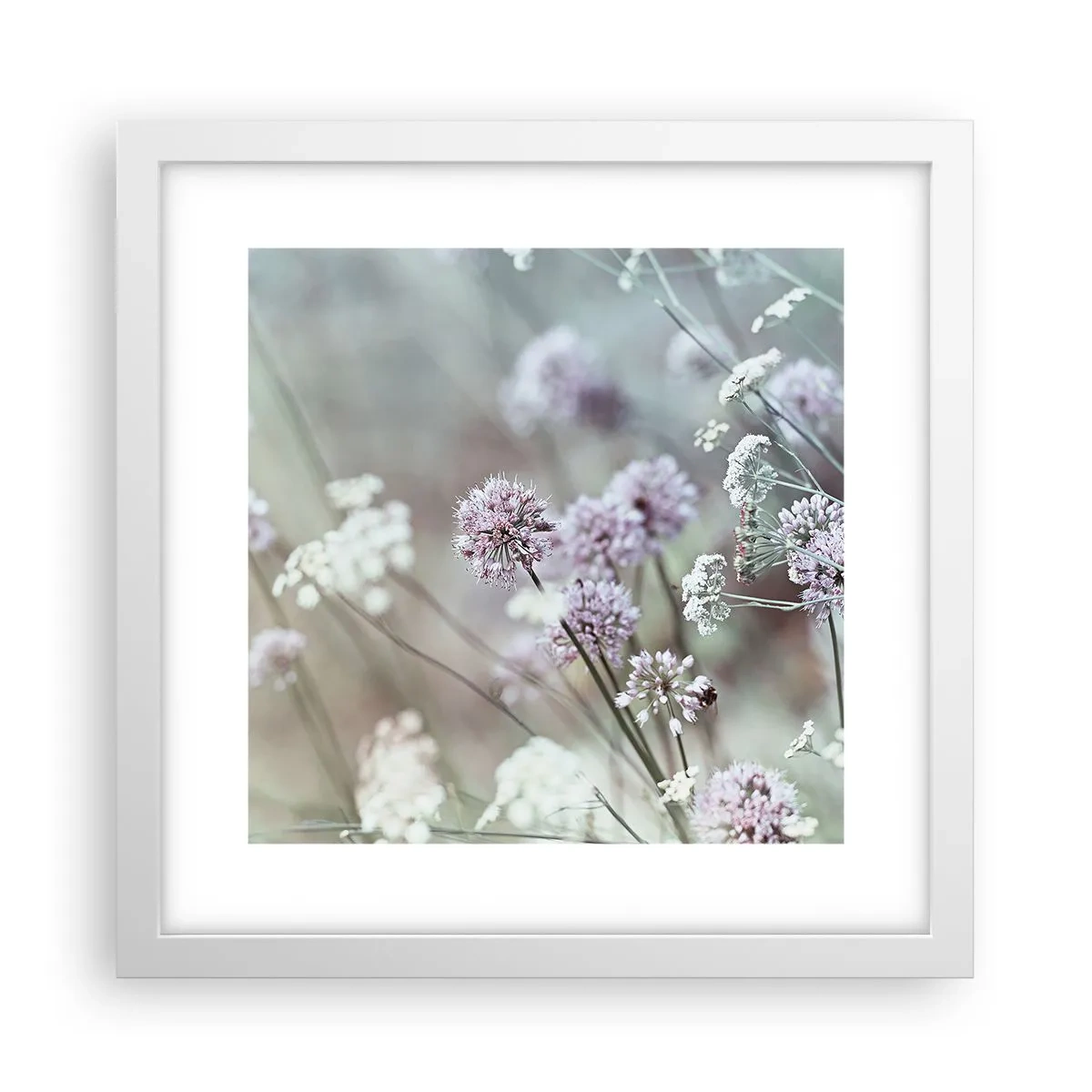 Plakat w białej ramie - Słodkie filigrany ziół - 30x30 cm
