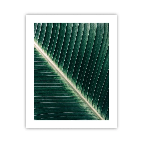 Plakat - Rytm natury - 40x50 cm