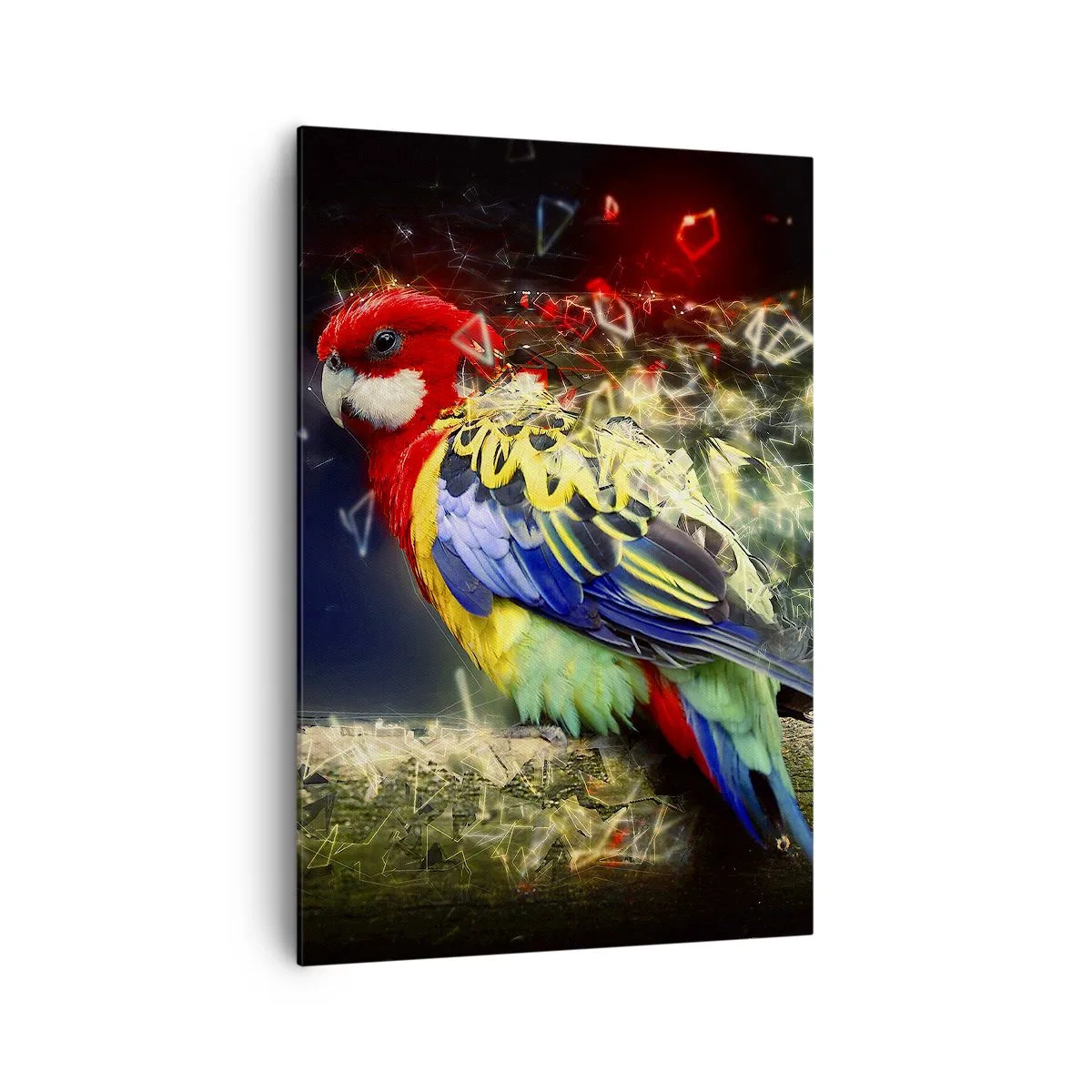 Obraz na płótnie - Papuga w żywych kolorach na tle efektów świetlnych - 70x100cm - Posłaniec blasku - Nowoczesna dekoracja ścienna do salonu i sypialni ARTTOR
