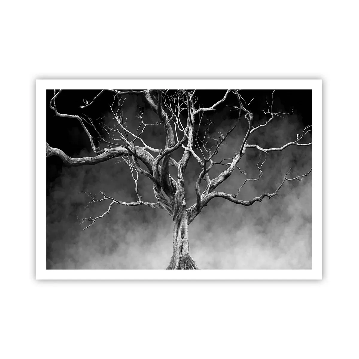 Plakat - Suche drzewo w czerni i bieli na tle mgły - 100x70cm - Pierwotne i święte - Nowoczesna dekoracja ścienna do salonu i sypialni ARTTOR