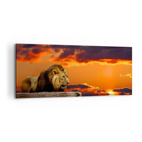 Obraz na płótnie - Lew spoczywający nad wodą o zachodzie słońca z dramatycznym niebem - 120x50cm - Król natury - Nowoczesna dekoracja ścienna do salonu i sypialni ARTTOR