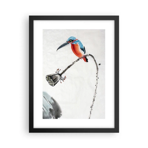 Plakat w czarnej ramie - Życie łąki - 30x40 cm