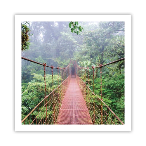 Plakat - Zawieszony nad koronami - 60x60 cm