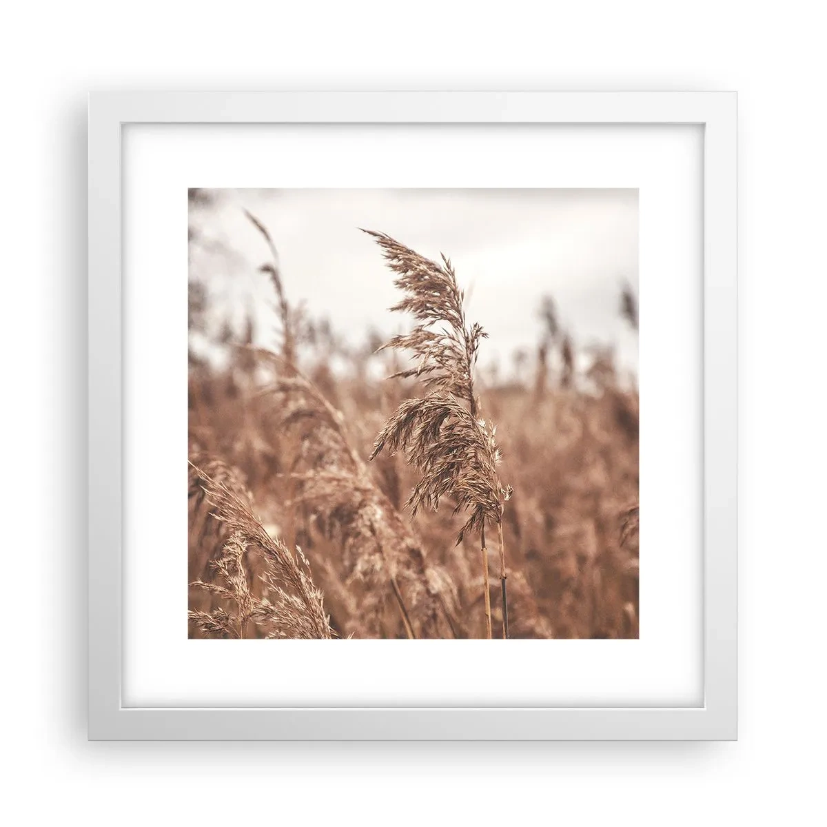 Plakat w białej ramie - Na polach już jesień - 30x30 cm