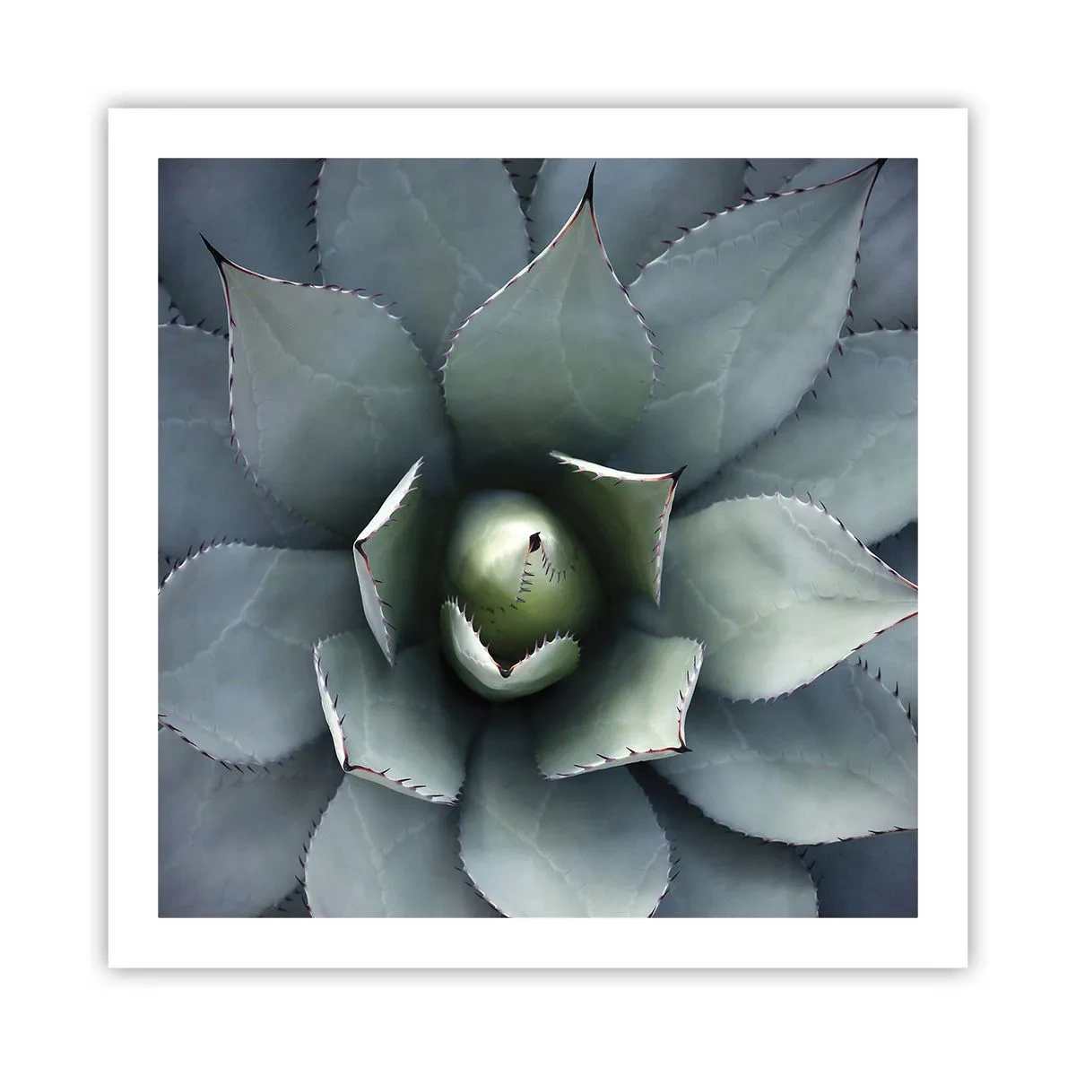 Plakat - Wabi i przestrzega - 60x60 cm