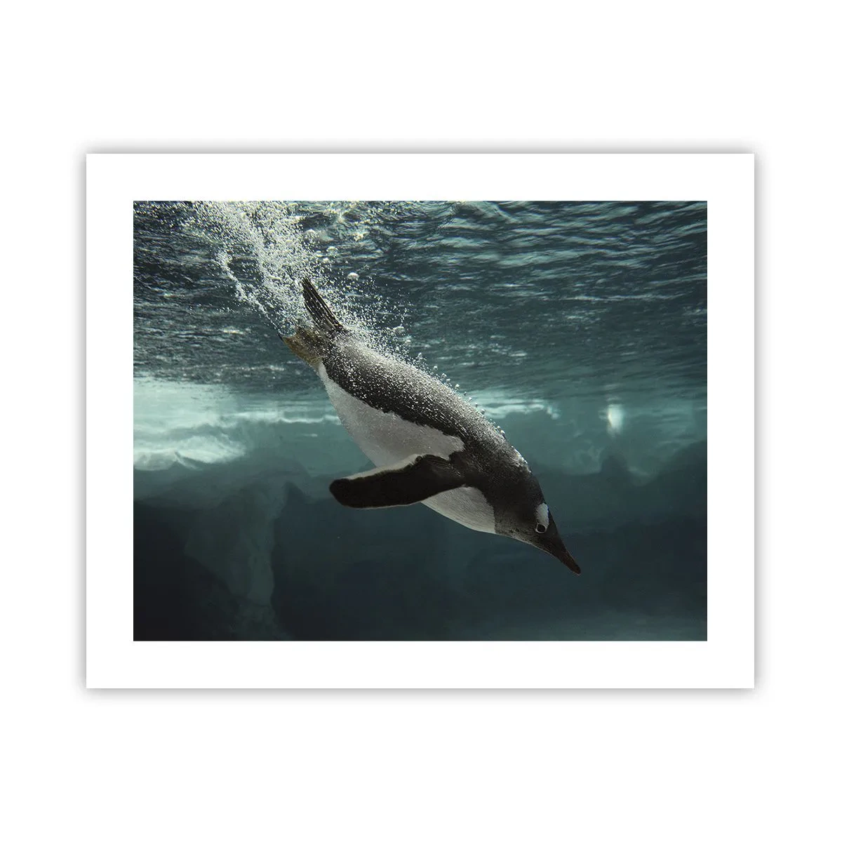 Plakat - Witaj w moim świecie - 50x40 cm