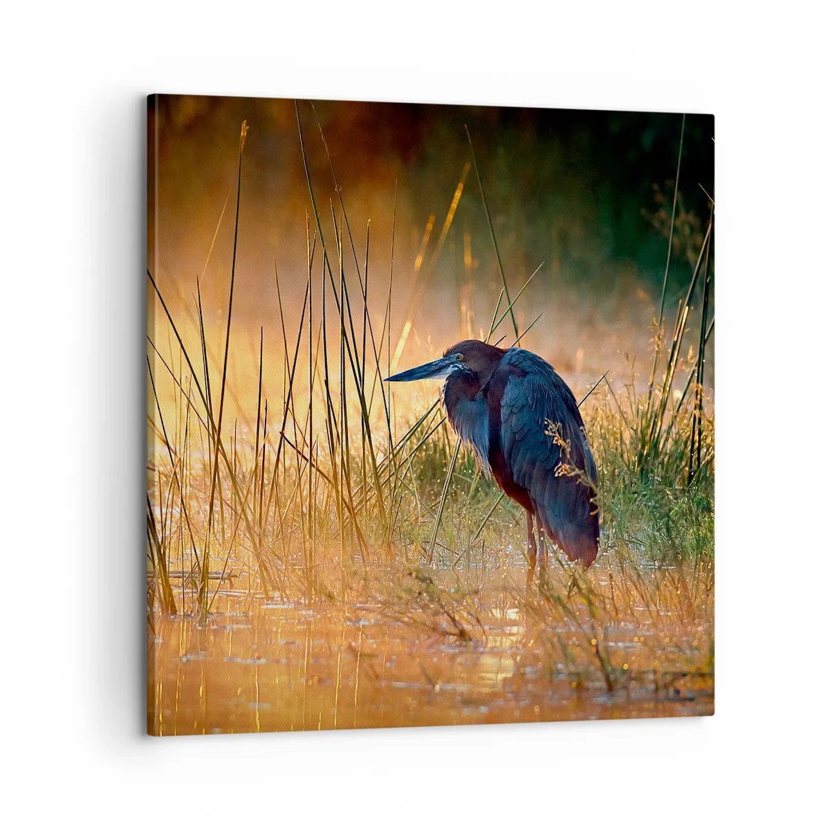 Obraz na płótnie - No dajcie mi spokój z tymi zdjęciami - 60x60 cm