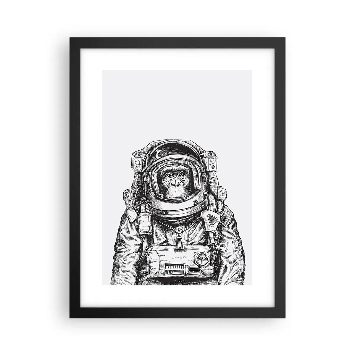 Plakat w czarnej ramie - Alternatywna ewolucja - 30x40 cm