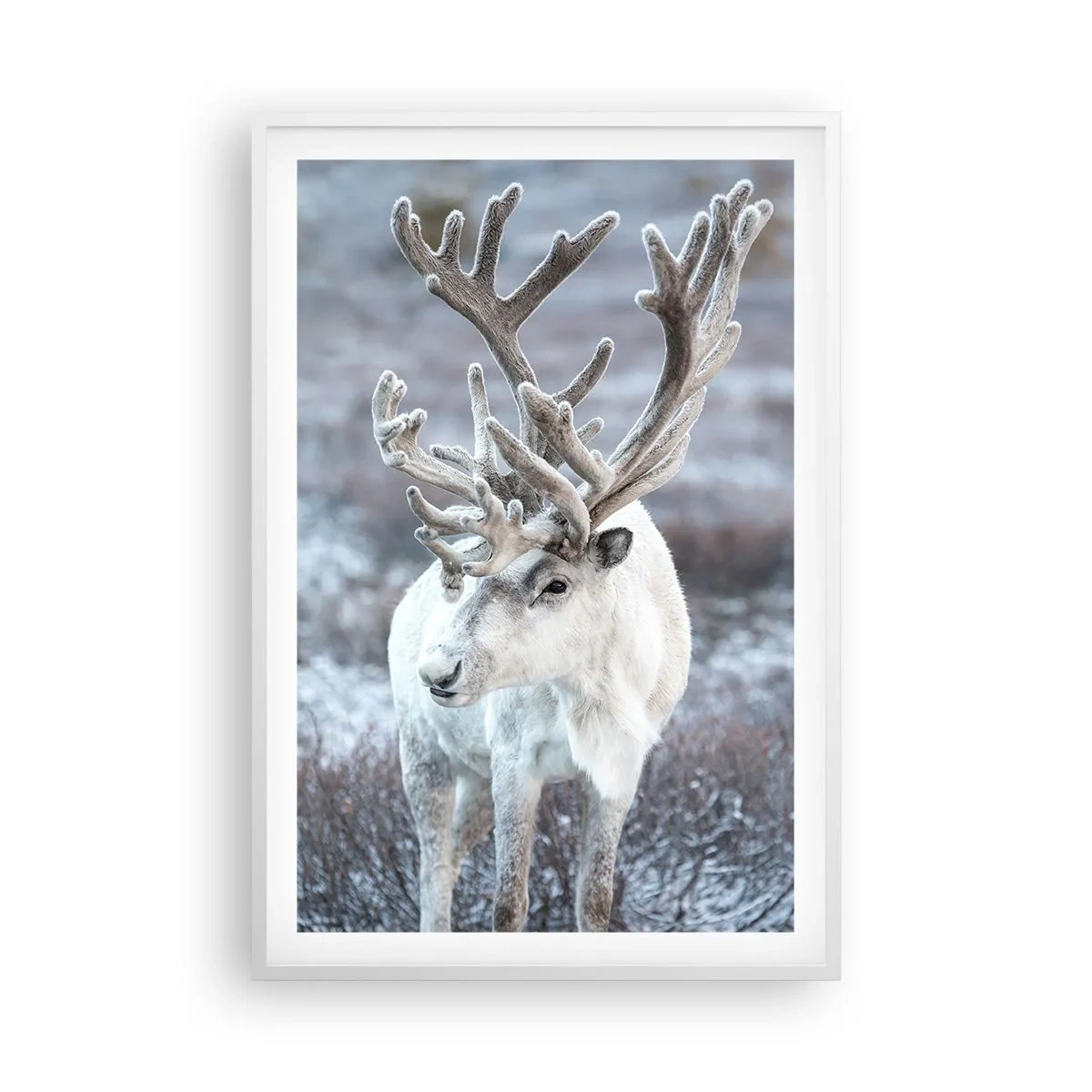 Plakat w białej ramie - Portret w słońcu - 61x91 cm