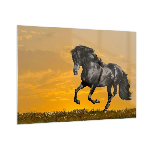 Obraz na szkle - Czarny koń galopujący na tle zachodzącego słońca - 100x70cm - Piękny, wolny i dziki - Nowoczesna dekoracja ścienna do salonu, kuchni i sypialni ARTTOR