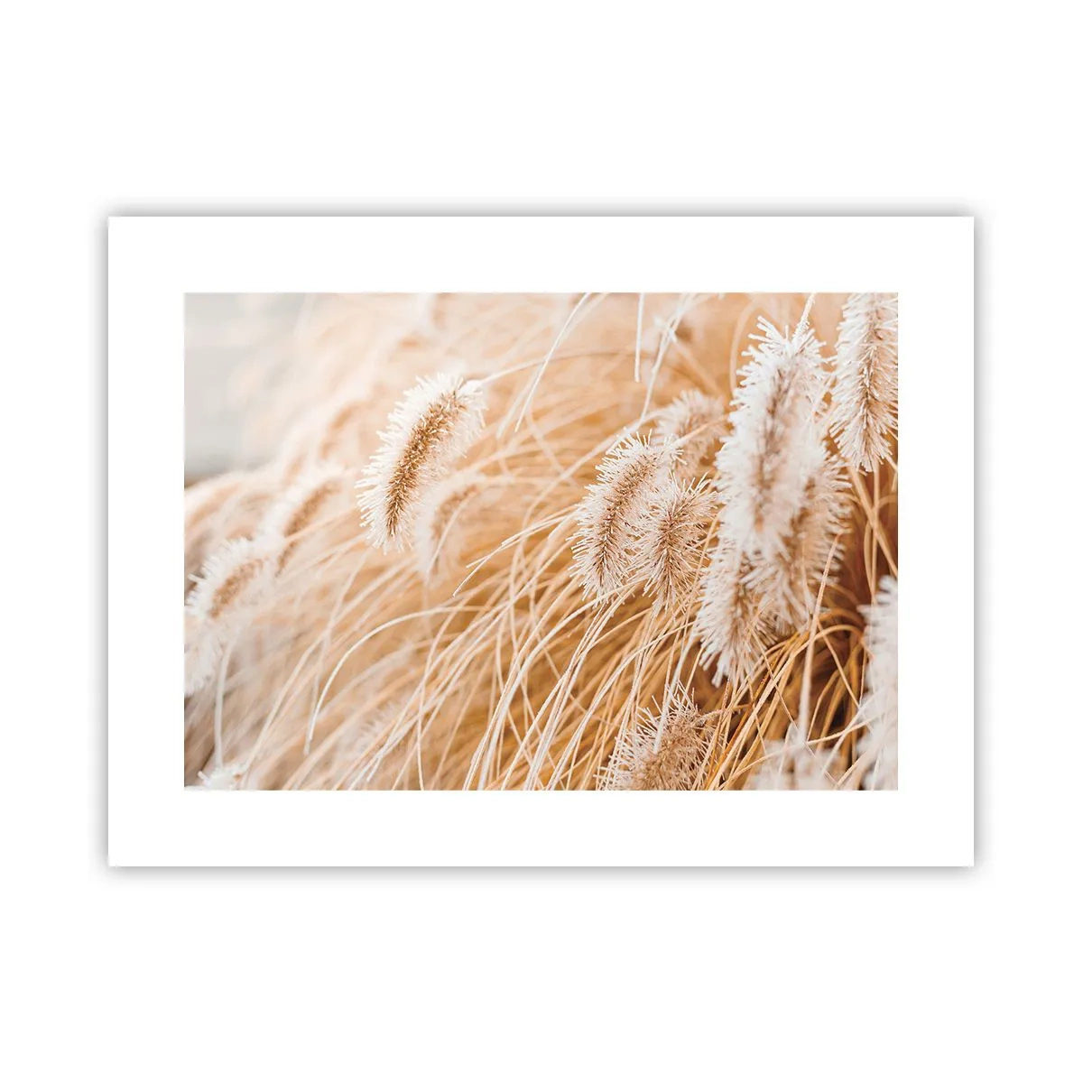 Plakat - Złoty szelest traw - 40x30 cm