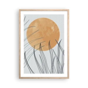 Plakat w ramie jasny dąb - Zawsze ku słońcu - 50x70 cm