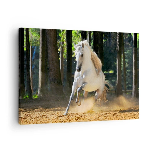 Obraz na płótnie - Biały koń galopujący po leśnej polanie - 70x50cm - Jak z powieści fantasy - Nowoczesna dekoracja ścienna do salonu i sypialni ARTTOR