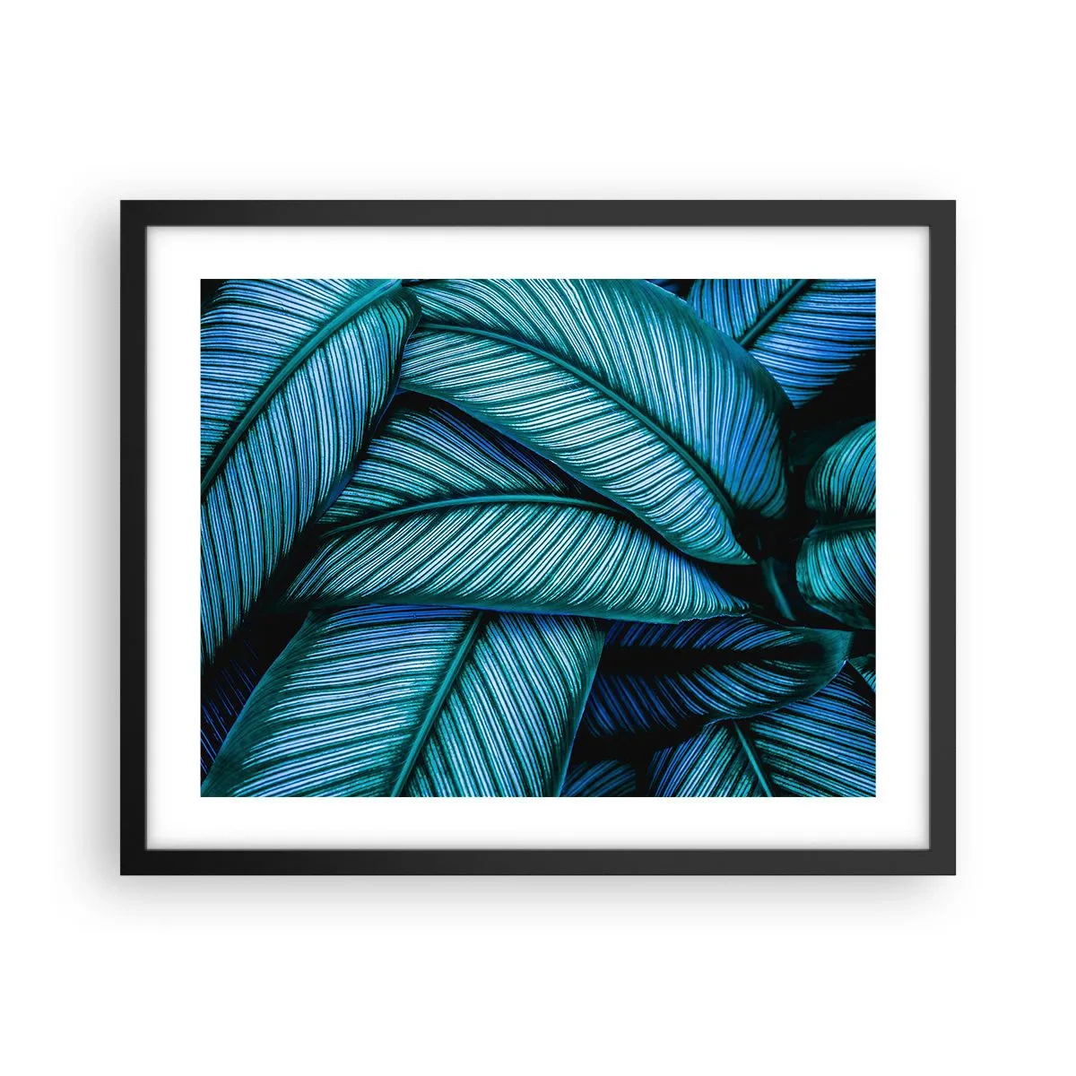 Plakat w czarnej ramie - Linie życia - 50x40 cm