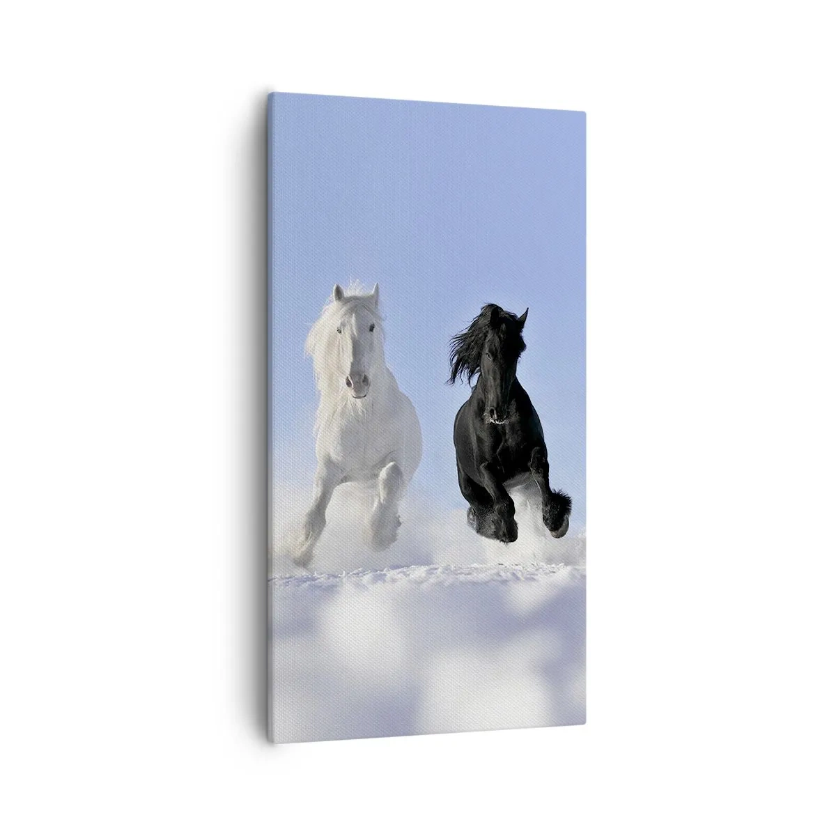 Obraz na płótnie - Czarno-biały galop - 55x100 cm