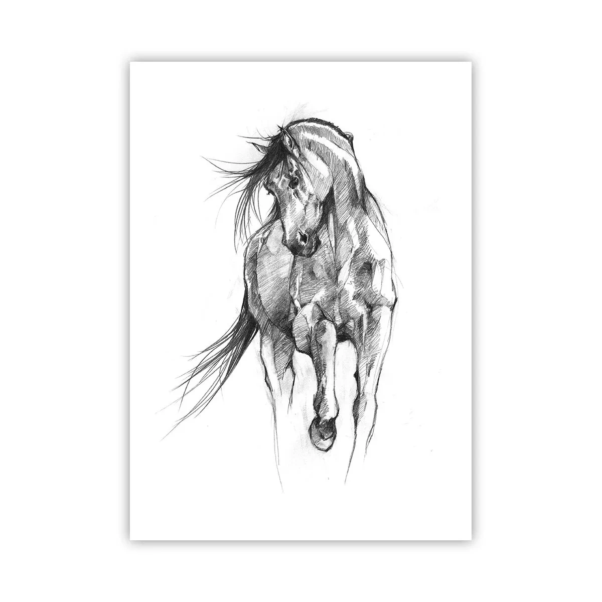 Plakat - Szkic konia w dynamicznej pozie - 50x70cm - We wdzięcznym kłusie - Nowoczesna dekoracja ścienna do salonu, kuchni i sypialni ARTTOR