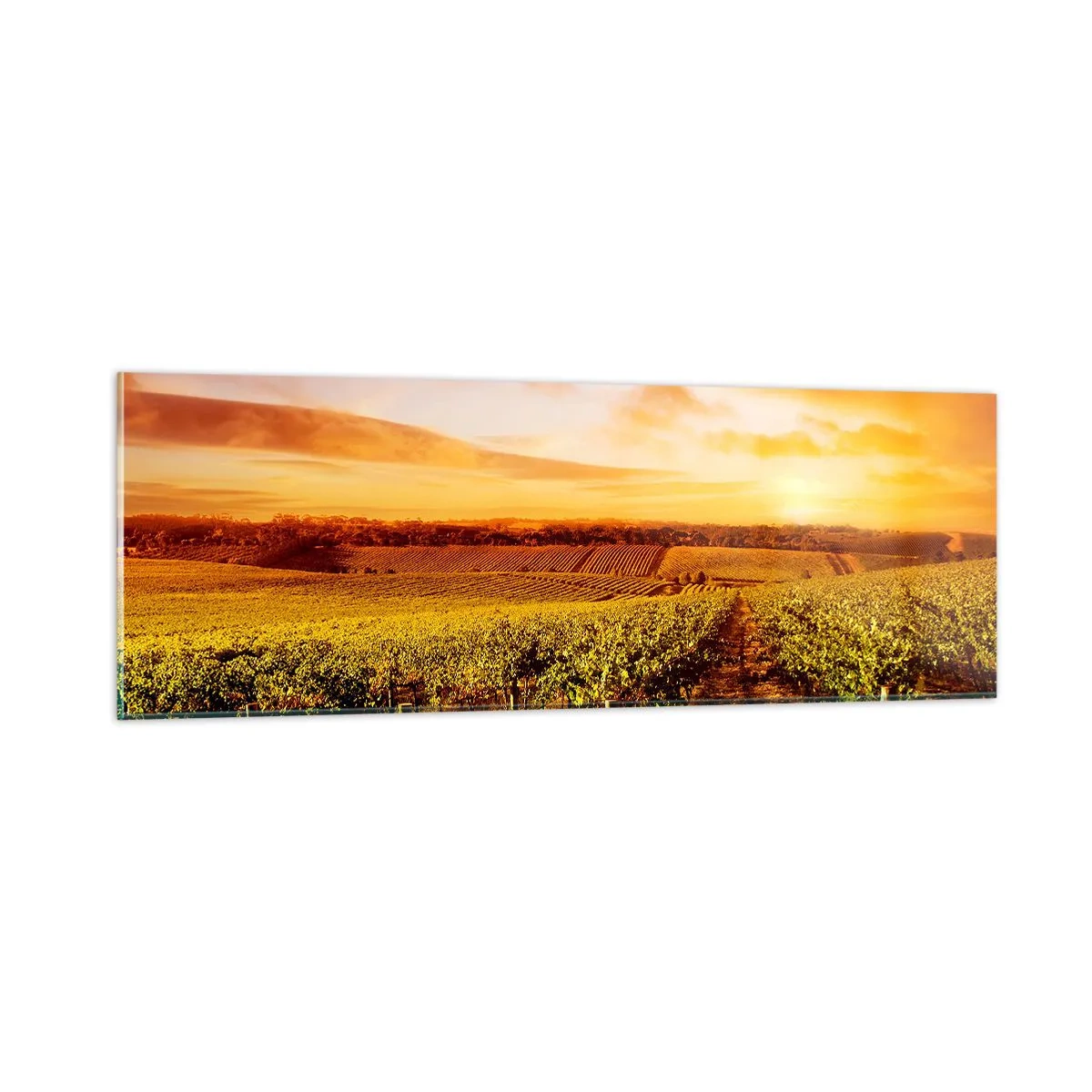 Obraz na szkle - Delikatnie owocowe z nutą słońca - 90x30 cm