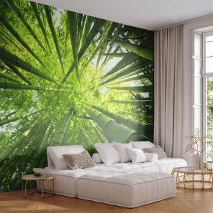 Fototapeta Standard Eco - W bambusowym gaju - Las Bambusowy, Dżungla, Bambus - 250x175 cm