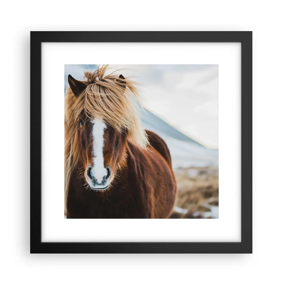 Plakat w czarnej ramie - Czujesz wolność? - 30x30 cm
