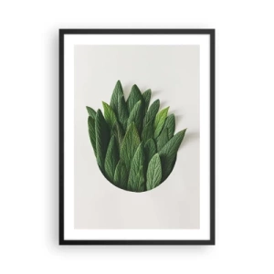 Plakat w czarnej ramie - Liście w artystycznej kompozycji na białym tle - 50x70cm - Nieposkromiona ciekawość - Nowoczesna dekoracja ścienna do salonu i sypialni ARTTOR
