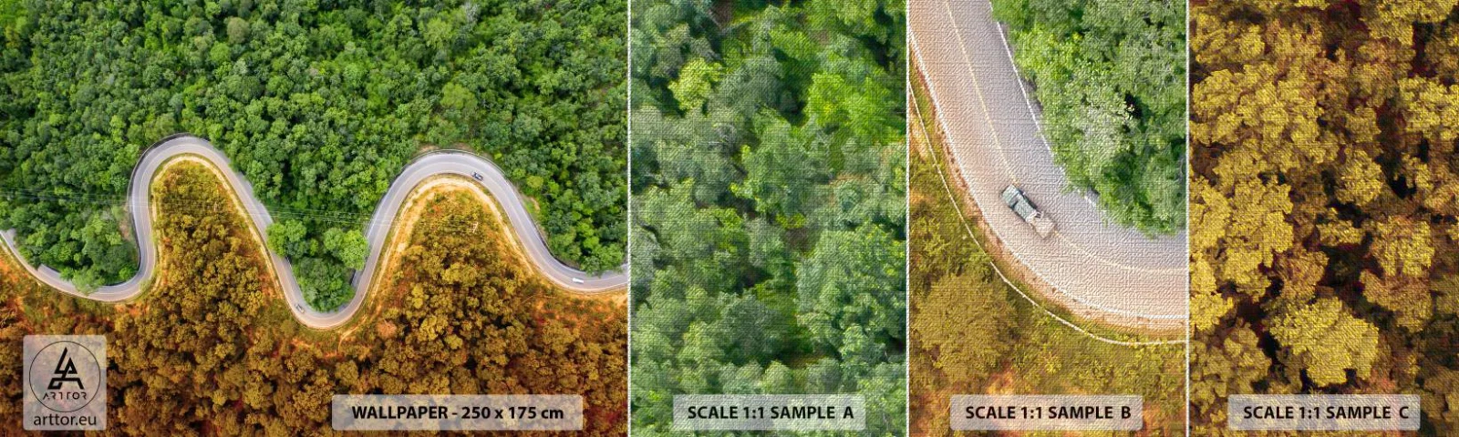 Fototapeta Próbka Premium Canvas - Granice i przełomy - Krajobraz, Droga Samochodowa, Las - 100x30 cm