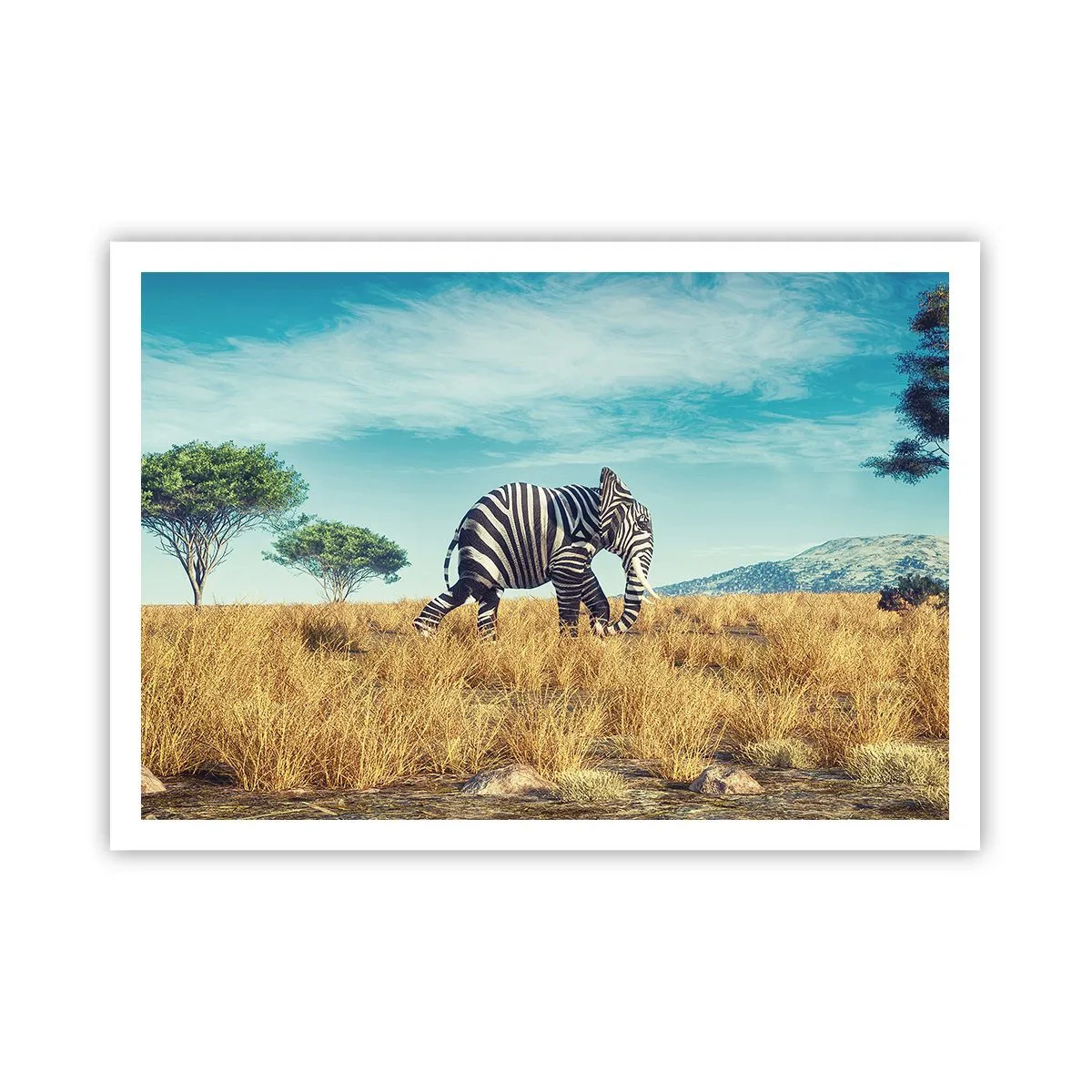 Plakat - Zebra w afrykańskim krajobrazie - 100x70cm - Szarość już niemodna - Nowoczesna dekoracja ścienna do salonu i sypialni ARTTOR