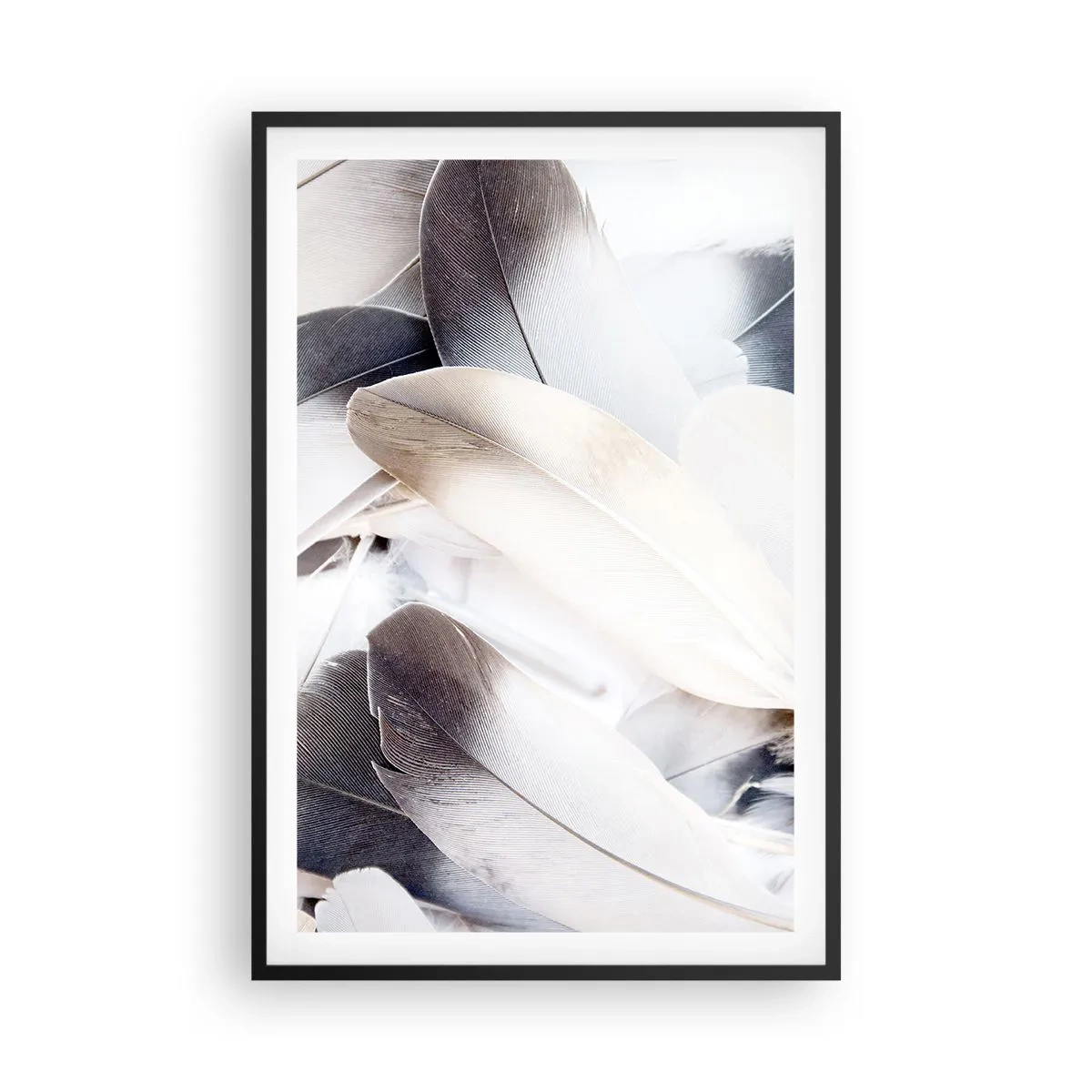 Plakat w czarnej ramie - Niemal anielskie - 61x91 cm