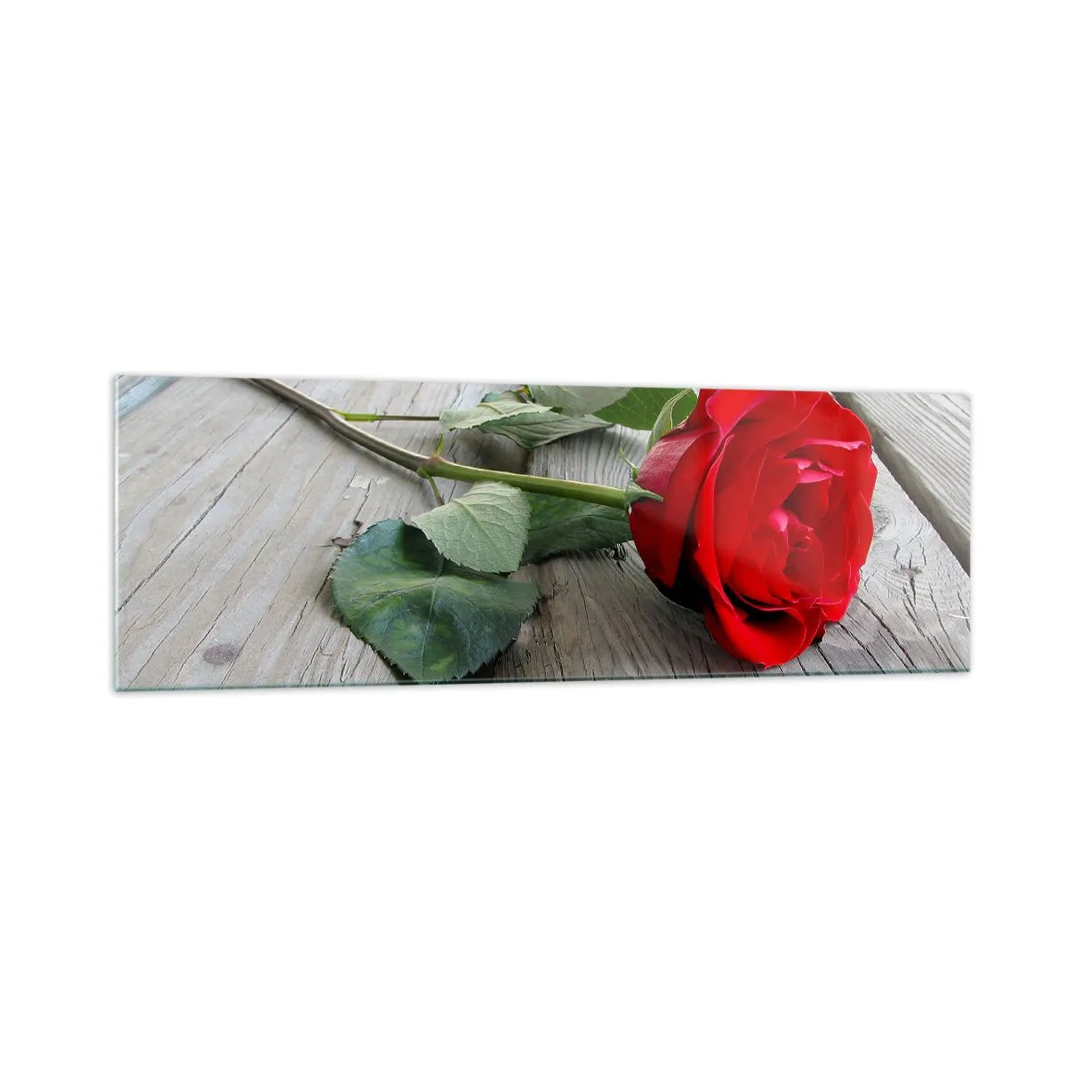 Obraz na szkle - Czerwona róża na drewnianym tle - 160x50cm - Studium w szkarłacie - Nowoczesna dekoracja ścienna do salonu i sypialni ARTTOR