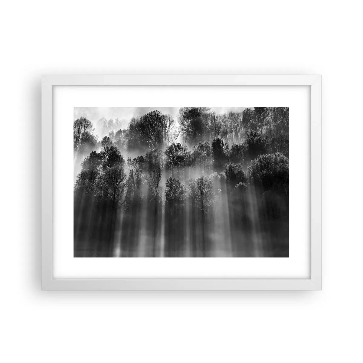 Plakat w białej ramie - W strumieniach światła - 40x30 cm