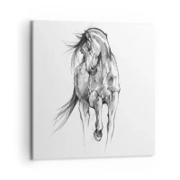 50x50 cm | Kwadratowy