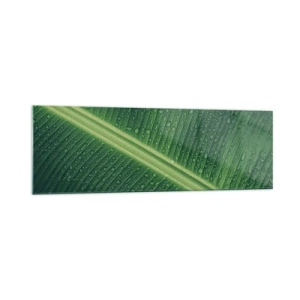 Obraz na szkle - Zielony liść z kroplami wody na powierzchni - 160x50cm - Struktura zieleni - Nowoczesna dekoracja ścienna do salonu i sypialni ARTTOR