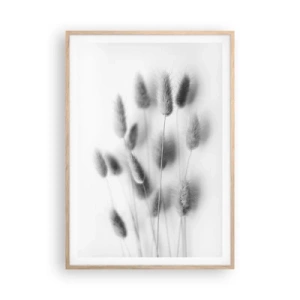 Plakat w ramie jasny dąb - Jej puszystość trawa - 70x100 cm