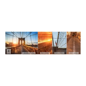 Fototapeta Próbka Standard Eco - Na złotym moście - Nowy Jork, Most Brookliński, Architektura - 100x30 cm