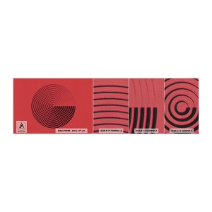 Fototapeta Próbka Premium Canvas - Ruch kolisty - Minimalizm, Koło, Linie - 100x30 cm