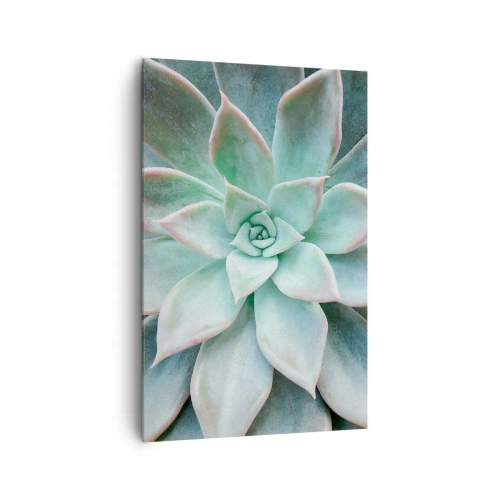 Obraz na płótnie - Zbliżenie na zielony sukulent - 80x120cm - Serce pustyni - Nowoczesna dekoracja ścienna do salonu i sypialni ARTTOR