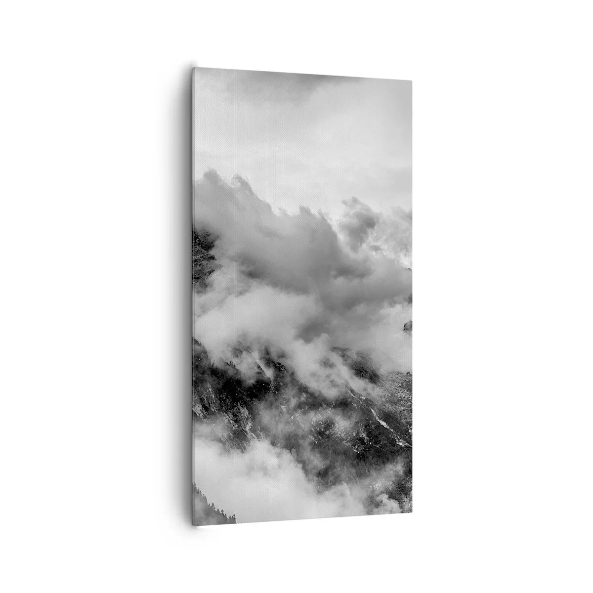 Obraz na płótnie - Piękne i okrutne - 65x120 cm