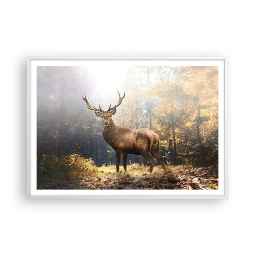 Plakat w białej ramie - W pełnym majestacie - 100x70 cm